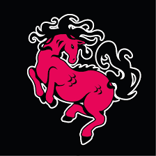 Les Poneys de Bain