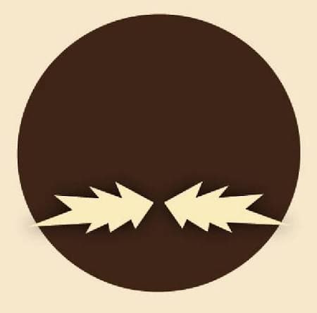 Les Moustaches Sauvages